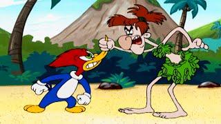 Castaway Island Challenge | 1 Hour of Woody Woodpecker