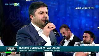 Mecnunun Olmuşum İlahisi | Sedat Uçan