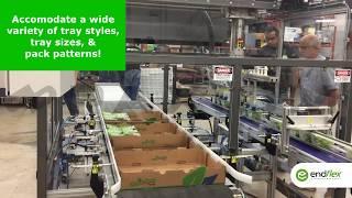 Automatic Tray Packer - Top Load Modular Cell with Pick and Place for Produce