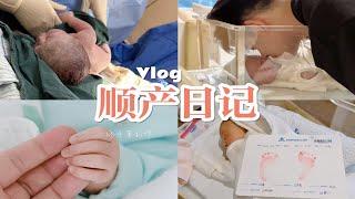 Vlog | 顺产日记·你出生的那天，妈妈也诞生了