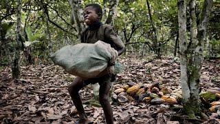 The Dark Side Of Chocolate - Full Documentary