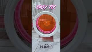 [DEMO] Sugar Glider Running Wheel Easy Fix from Taiwan | PETOPIA Pet Products