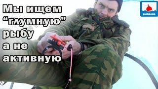 Переворачиваю мифы о зимней рыбалке дальше (моё мнение)+ рыбалка в мороз