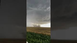 Captured a beautiful tornado in Garden City, KS on 6/18/24 #stormchaser  #tornado #girlswhochase