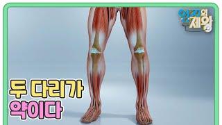 정형외과·재활의학과 전문의 강연! ＜두 다리가 약이다＞ MBN 220712 방송