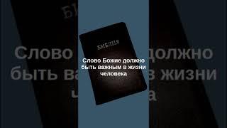 Слово Божие должно быть важным в жизни человека
