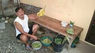 Ilocano Non-Stop Medley ( Pamulinawen ) LAING  #tonylab31