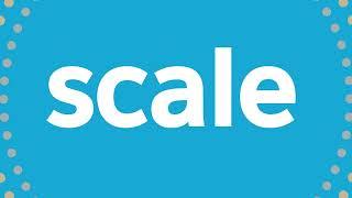 How do Salesforce Partners Scale Fast?