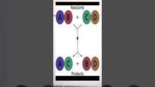 Chemical Reactions and Equations Class 10 | Double Displacement Reaction