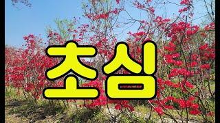 267. 초 심 / 작사 : 김종원  / 작곡  / 노래 : 옥이 ai