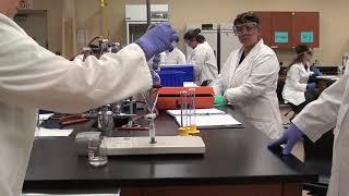 Extraction Lab - Separating a Two Component (Acid/Base) Mixture