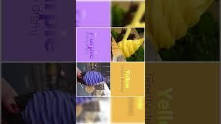 Purple vs Yellow #which #pretty #yellow #purple #subscribe