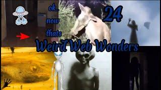 Weird Web Wonders  VOL 24