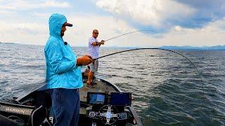 Record-Breaking Success: One Lure, 111 Lake Trout! Unforgettable Day on Lake Champlain