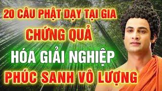 TU TẠI GIA PHẢI NGHE : 20 LỜI PHẬT DẠY GIÚP CHUYỂN NGHIỆP, CHỨNG QUẢ, HÓA GIẢI KHỔ ĐAU
