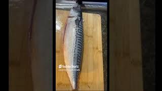 Xuan Hieu Family is live#Asmr washing fish and Cutting SATISFYING