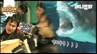 그거 아세요? 상어는 아무리 아파도 마취없이 수술해야 하는 거 ㅣ Either Humans Or Sharks Hate Going To The Hospital