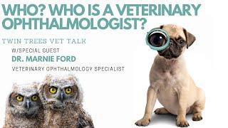 Who? Who Is A Veterinary Ophthalmologist? │ Twin Trees Vet Talk