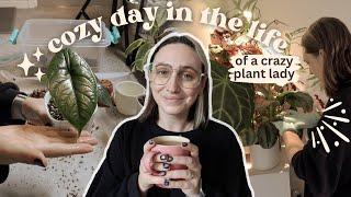 cozy plant vlog 🪴 repotting, dusting, propagating & more