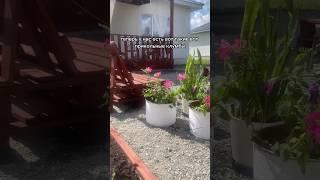 Прикольные клумбы из мусора