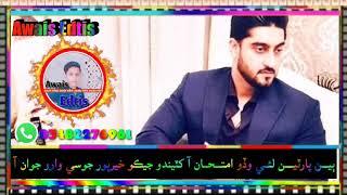 PPP MPA ghanwer Ali Khan isran Whatsapp status video beyn parten lay wado imthan aa khaytendo jako