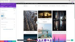 "Image Gallery Masonry" Divi Module Page Layout With Custom Filter