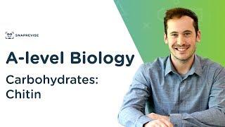 Carbohydrates: Chitin | A-level Biology | OCR, AQA, Edexcel