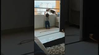 Smart Cat Video | Cat Save Baby From Falling | Animal Holic | Cat Videos | #Shorts