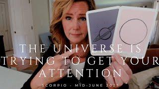SCORPIO : The Universe Is TRYING To Tell You Something | Mid June 2025 Zodiac Tarot Reading