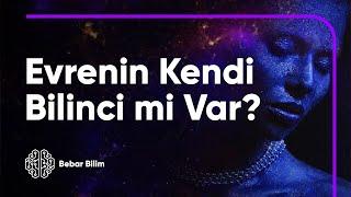 Evrenin Kendi Bilinci mi Var?