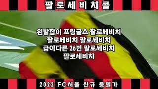 [2022 FC서울 신규 응원가] 팔로세비치 콜