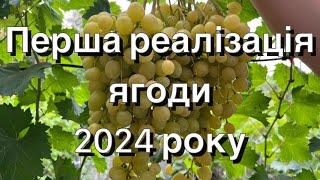 Перша реалізація ягоди 2024 року