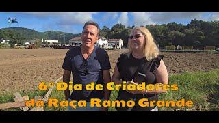 6º Dia do Criador da Raça Ramo Grande Sete Cidades Ilha de São Miguel .