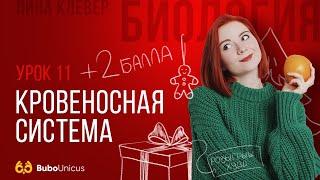 Кровеносная система | БИОЛОГИЯ ЕГЭ | Лина Клевер