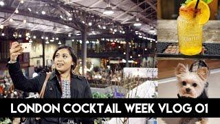 London Life Vlog 01 | London Cocktail Weekend | AllAboutAnika