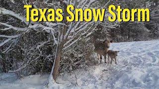 [Historic] Texas Blizzard on The Farm