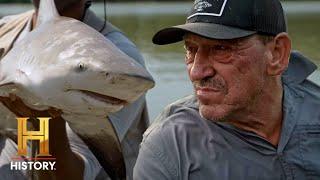 Swamp Mysteries: SHARKS GO WILD in Alligator Habitat (Season 2)