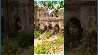 Tekari Raja gopal sharan ka kila ️#shortvideo #travel #tekari #gaya #bihar #vlog #minivlog