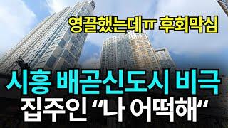 시흥 배곧 충격적인 '현 상황'