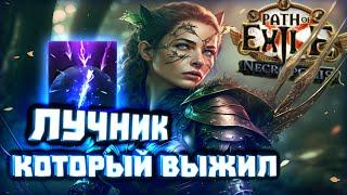 Дешевый лучник, который танкует метеор Убера! Каво!? | Path of Exile Некрополь 3.24