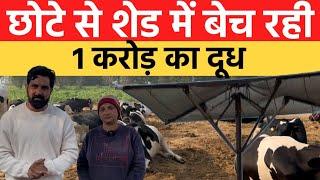 Successful Hf cow dairy farming | Dairy farming in India | India farming management |