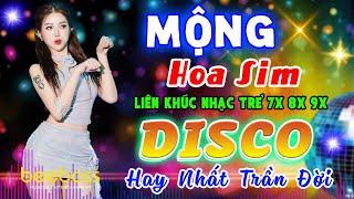 MỘNG HOA SIM DISCO REMIX - LK Nhạc Sống Disco Modern Talking HAY NHẤT TRẦN ĐỜI - Nhạc Trẻ 7X 8X 9X