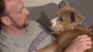 Dog loves to snuggle with guy who was reluctant to get him