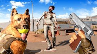 I Found a DOG in a ZOMBIE APOCALYPSE! (Arizona Sunshine 2)