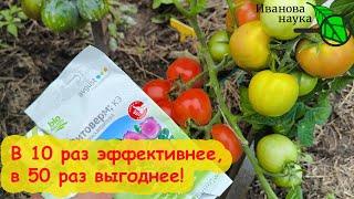 ОБРАБОТАЙТЕ ОГУРЦЫ 1 РАЗ и клещ уже не вернётся ни в огород, ни в теплицу. Прокачка Фитоверма.