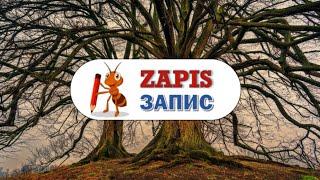 Запис / Zapis / The Testimony tree