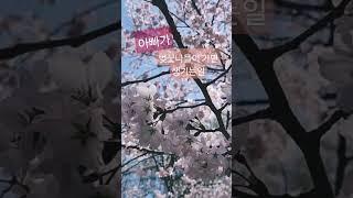 석촌호수 벚꽃 나들이 #벚꽃 #석촌호수 #홈런파파 #벚꽃나들이