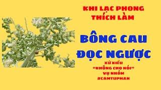 #lacphong NGỒI "KHỎ ĐÂU #GIÀ" LÀM "BÔNG CAU" 1