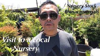 Nursery Stock - Pre Bonsai materials at a Local Nursery - May 29 2019