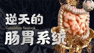 How incredible is your intestines and stomach? 【Evolution】